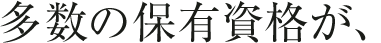 多数の保有資格が、